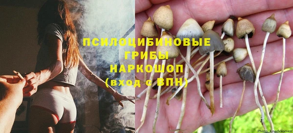 МДМА Осинники
