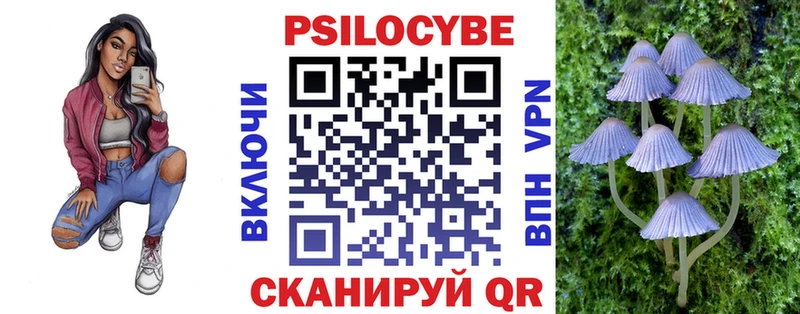 купить наркоту  Пущино  Псилоцибиновые грибы Cubensis 